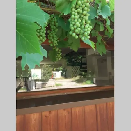 Le 9 Rue Du Moulin 4-5 Personnes Confort Gripport