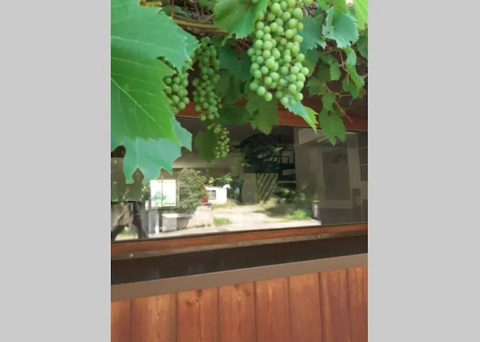 Le 9 Rue Du Moulin 4-5 Personnes Confort Gripport